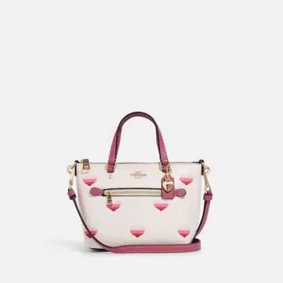 Coach Mini Gallery Crossbody With Stripe Heart Print - Picture 3 of 11